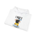 I Had 3 RBIs In the World Series Funny Baseball Fan Retro Cartoon Graphic Hoodie